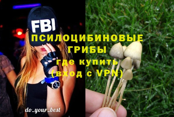 spice Алексеевка